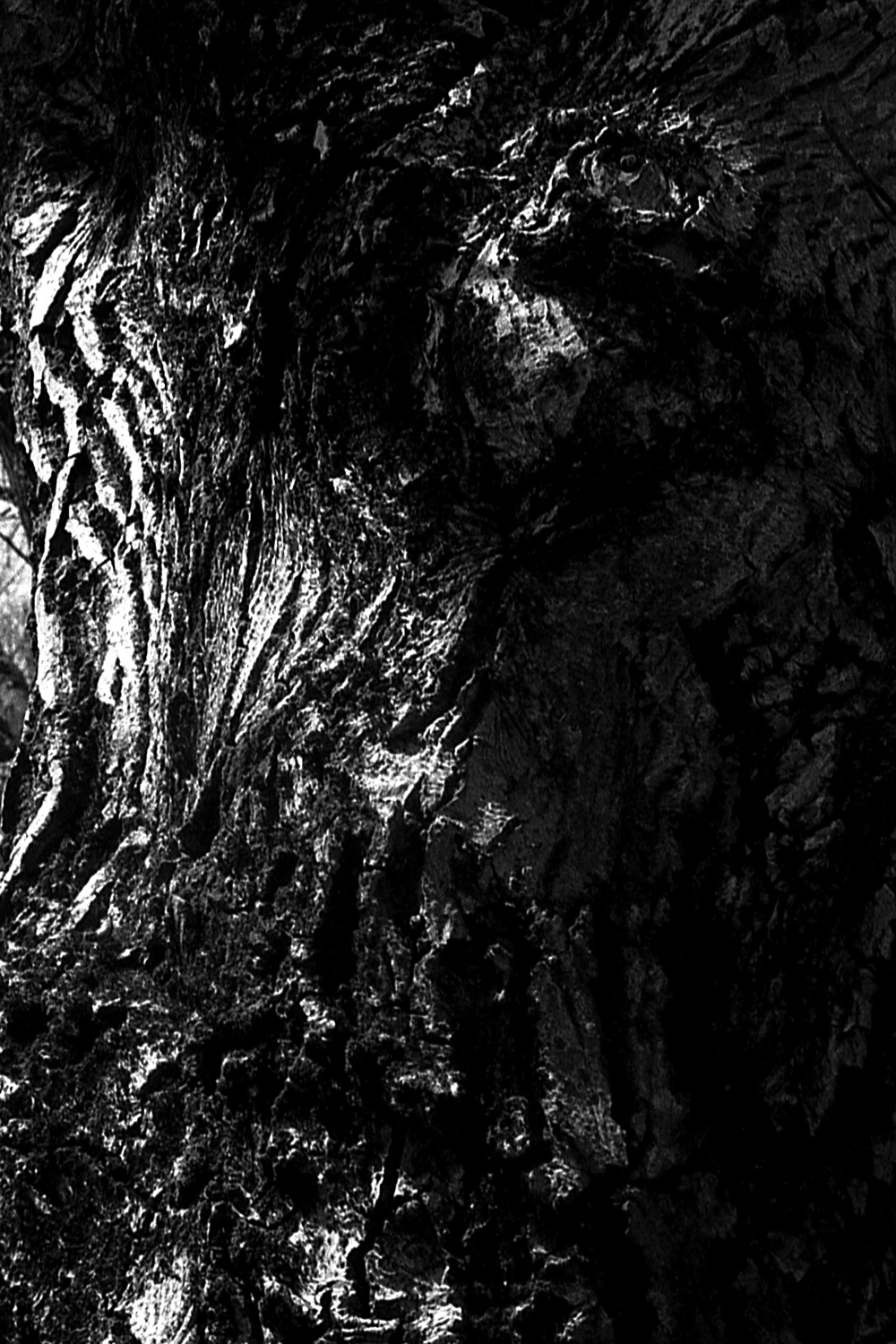 Pia Arhija Mother Nature4